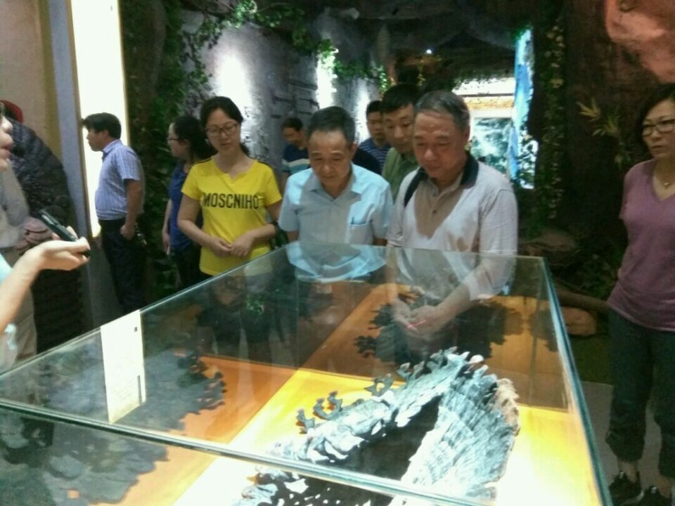 杭州亞運會官方靈芝產(chǎn)品供應(yīng)商|杭州亞運會官方供應(yīng)商|中國靈芝十大品牌|仙客來靈芝|仙客來靈芝破壁孢子粉|仙客來孢子油|仙客來靈芝飲片|仙客來破壁孢子粉|靈芝孢子油|孢子粉|靈芝破壁孢子粉|靈芝|中華老字號 杭州亞運會官方靈芝產(chǎn)品供應(yīng)商|杭州亞運會官方供應(yīng)商|中國靈芝十大品牌|仙客來靈芝|仙客來靈芝破壁孢子粉|仙客來孢子油|仙客來靈芝飲片|仙客來破壁孢子粉|靈芝孢子油|孢子粉|靈芝破壁孢子粉|靈芝|中華老字號