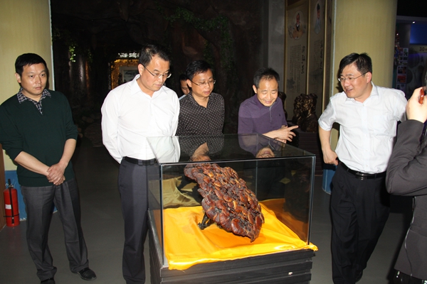 杭州亞運(yùn)會(huì)官方靈芝產(chǎn)品供應(yīng)商|杭州亞運(yùn)會(huì)官方供應(yīng)商|中國靈芝十大品牌|仙客來靈芝|仙客來靈芝破壁孢子粉|仙客來孢子油|仙客來靈芝飲片|仙客來破壁孢子粉|靈芝孢子油|孢子粉|靈芝破壁孢子粉|靈芝|中華老字號(hào)