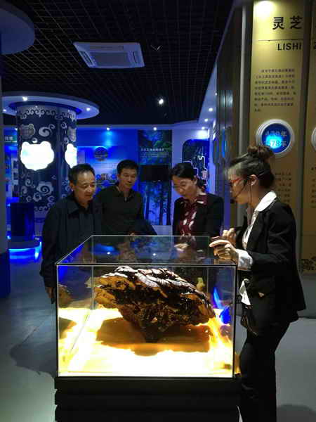 杭州亞運(yùn)會(huì)官方靈芝產(chǎn)品供應(yīng)商|杭州亞運(yùn)會(huì)官方供應(yīng)商|中國靈芝十大品牌|仙客來靈芝|仙客來靈芝破壁孢子粉|仙客來孢子油|仙客來靈芝飲片|仙客來破壁孢子粉|靈芝孢子油|孢子粉|靈芝破壁孢子粉|靈芝|中華老字號(hào)