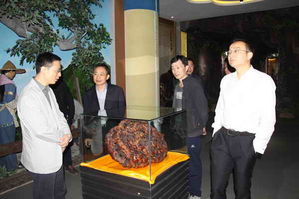 杭州亞運(yùn)會(huì)官方靈芝產(chǎn)品供應(yīng)商|杭州亞運(yùn)會(huì)官方供應(yīng)商|中國靈芝十大品牌|仙客來靈芝|仙客來靈芝破壁孢子粉|仙客來孢子油|仙客來靈芝飲片|仙客來破壁孢子粉|靈芝孢子油|孢子粉|靈芝破壁孢子粉|靈芝|中華老字號(hào) 杭州亞運(yùn)會(huì)官方靈芝產(chǎn)品供應(yīng)商|杭州亞運(yùn)會(huì)官方供應(yīng)商|中國靈芝十大品牌|仙客來靈芝|仙客來靈芝破壁孢子粉|仙客來孢子油|仙客來靈芝飲片|仙客來破壁孢子粉|靈芝孢子油|孢子粉|靈芝破壁孢子粉|靈芝|中華老字號(hào)