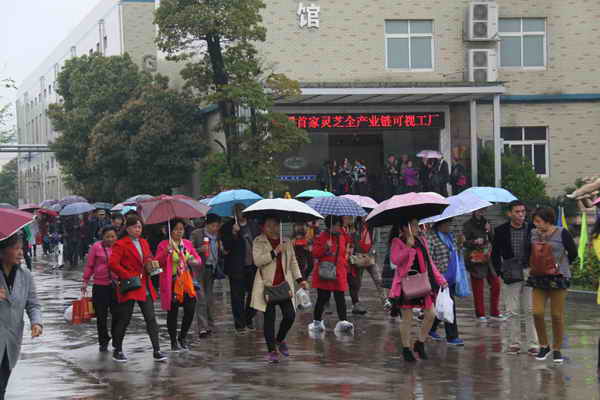 杭州亞運會官方靈芝產品供應商|杭州亞運會官方供應商|中國靈芝十大品牌|仙客來靈芝|仙客來靈芝破壁孢子粉|仙客來孢子油|仙客來靈芝飲片|仙客來破壁孢子粉|靈芝孢子油|孢子粉|靈芝破壁孢子粉|靈芝|中華老字號 杭州亞運會官方靈芝產品供應商|杭州亞運會官方供應商|中國靈芝十大品牌|仙客來靈芝|仙客來靈芝破壁孢子粉|仙客來孢子油|仙客來靈芝飲片|仙客來破壁孢子粉|靈芝孢子油|孢子粉|靈芝破壁孢子粉|靈芝|中華老字號