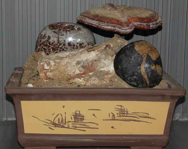 杭州亞運(yùn)會官方靈芝產(chǎn)品供應(yīng)商|杭州亞運(yùn)會官方供應(yīng)商|中國靈芝十大品牌|仙客來靈芝|仙客來靈芝破壁孢子粉|仙客來孢子油|仙客來靈芝飲片|仙客來破壁孢子粉|靈芝孢子油|孢子粉|靈芝破壁孢子粉|靈芝|中華老字號 杭州亞運(yùn)會官方靈芝產(chǎn)品供應(yīng)商|杭州亞運(yùn)會官方供應(yīng)商|中國靈芝十大品牌|仙客來靈芝|仙客來靈芝破壁孢子粉|仙客來孢子油|仙客來靈芝飲片|仙客來破壁孢子粉|靈芝孢子油|孢子粉|靈芝破壁孢子粉|靈芝|中華老字號