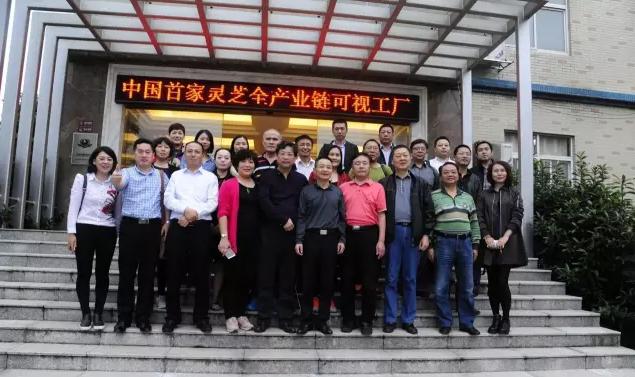 杭州亞運(yùn)會(huì)官方靈芝產(chǎn)品供應(yīng)商|杭州亞運(yùn)會(huì)官方供應(yīng)商|中國靈芝十大品牌|仙客來靈芝|仙客來靈芝破壁孢子粉|仙客來孢子油|仙客來靈芝飲片|仙客來破壁孢子粉|靈芝孢子油|孢子粉|靈芝破壁孢子粉|靈芝|中華老字號(hào) 杭州亞運(yùn)會(huì)官方靈芝產(chǎn)品供應(yīng)商|杭州亞運(yùn)會(huì)官方供應(yīng)商|中國靈芝十大品牌|仙客來靈芝|仙客來靈芝破壁孢子粉|仙客來孢子油|仙客來靈芝飲片|仙客來破壁孢子粉|靈芝孢子油|孢子粉|靈芝破壁孢子粉|靈芝|中華老字號(hào)