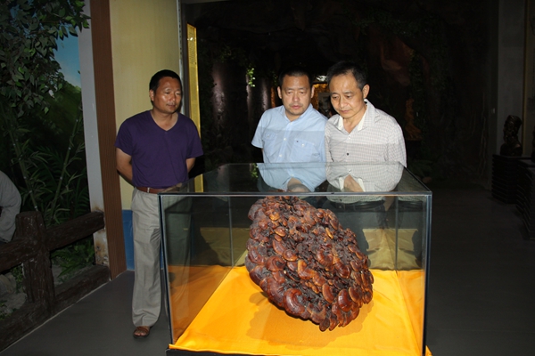 杭州亞運會官方靈芝產(chǎn)品供應商|杭州亞運會官方供應商|中國靈芝十大品牌|仙客來靈芝|仙客來靈芝破壁孢子粉|仙客來孢子油|仙客來靈芝飲片|仙客來破壁孢子粉|靈芝孢子油|孢子粉|靈芝破壁孢子粉|靈芝|中華老字號 杭州亞運會官方靈芝產(chǎn)品供應商|杭州亞運會官方供應商|中國靈芝十大品牌|仙客來靈芝|仙客來靈芝破壁孢子粉|仙客來孢子油|仙客來靈芝飲片|仙客來破壁孢子粉|靈芝孢子油|孢子粉|靈芝破壁孢子粉|靈芝|中華老字號