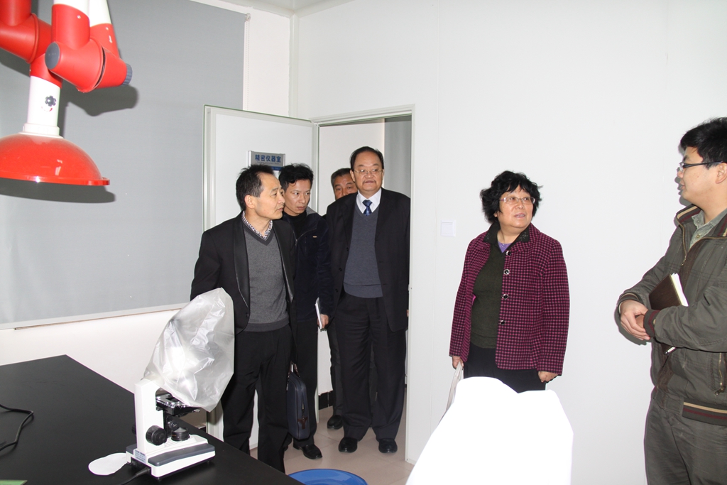 杭州亞運(yùn)會官方靈芝產(chǎn)品供應(yīng)商|杭州亞運(yùn)會官方供應(yīng)商|中國靈芝十大品牌|仙客來靈芝|仙客來靈芝破壁孢子粉|仙客來孢子油|仙客來靈芝飲片|仙客來破壁孢子粉|靈芝孢子油|孢子粉|靈芝破壁孢子粉|靈芝|中華老字號 杭州亞運(yùn)會官方靈芝產(chǎn)品供應(yīng)商|杭州亞運(yùn)會官方供應(yīng)商|中國靈芝十大品牌|仙客來靈芝|仙客來靈芝破壁孢子粉|仙客來孢子油|仙客來靈芝飲片|仙客來破壁孢子粉|靈芝孢子油|孢子粉|靈芝破壁孢子粉|靈芝|中華老字號