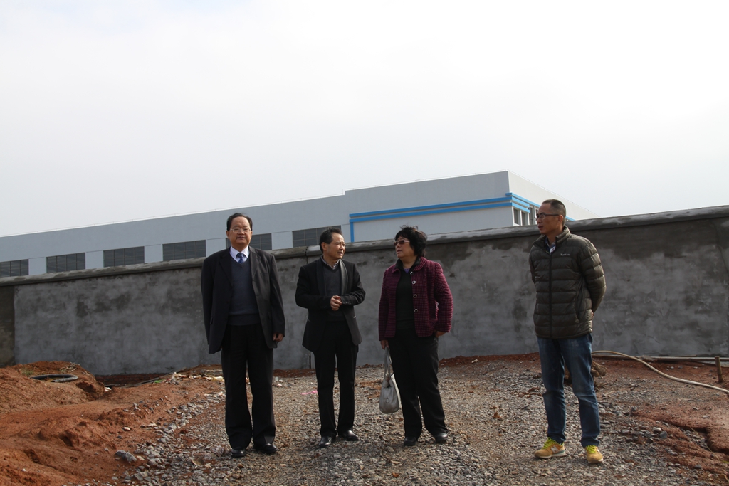 杭州亞運(yùn)會官方靈芝產(chǎn)品供應(yīng)商|杭州亞運(yùn)會官方供應(yīng)商|中國靈芝十大品牌|仙客來靈芝|仙客來靈芝破壁孢子粉|仙客來孢子油|仙客來靈芝飲片|仙客來破壁孢子粉|靈芝孢子油|孢子粉|靈芝破壁孢子粉|靈芝|中華老字號 杭州亞運(yùn)會官方靈芝產(chǎn)品供應(yīng)商|杭州亞運(yùn)會官方供應(yīng)商|中國靈芝十大品牌|仙客來靈芝|仙客來靈芝破壁孢子粉|仙客來孢子油|仙客來靈芝飲片|仙客來破壁孢子粉|靈芝孢子油|孢子粉|靈芝破壁孢子粉|靈芝|中華老字號