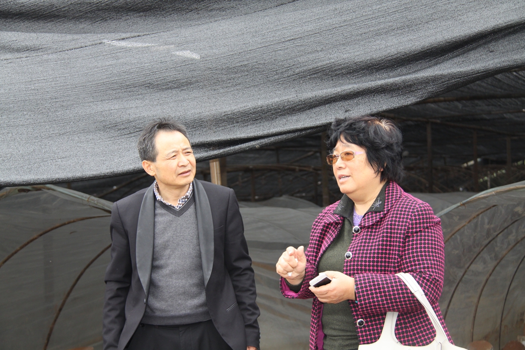 杭州亞運(yùn)會官方靈芝產(chǎn)品供應(yīng)商|杭州亞運(yùn)會官方供應(yīng)商|中國靈芝十大品牌|仙客來靈芝|仙客來靈芝破壁孢子粉|仙客來孢子油|仙客來靈芝飲片|仙客來破壁孢子粉|靈芝孢子油|孢子粉|靈芝破壁孢子粉|靈芝|中華老字號 杭州亞運(yùn)會官方靈芝產(chǎn)品供應(yīng)商|杭州亞運(yùn)會官方供應(yīng)商|中國靈芝十大品牌|仙客來靈芝|仙客來靈芝破壁孢子粉|仙客來孢子油|仙客來靈芝飲片|仙客來破壁孢子粉|靈芝孢子油|孢子粉|靈芝破壁孢子粉|靈芝|中華老字號