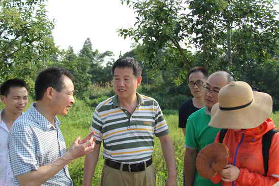 杭州亞運會官方靈芝產品供應商|杭州亞運會官方供應商|中國靈芝十大品牌|仙客來靈芝|仙客來靈芝破壁孢子粉|仙客來孢子油|仙客來靈芝飲片|仙客來破壁孢子粉|靈芝孢子油|孢子粉|靈芝破壁孢子粉|靈芝|中華老字號 杭州亞運會官方靈芝產品供應商|杭州亞運會官方供應商|中國靈芝十大品牌|仙客來靈芝|仙客來靈芝破壁孢子粉|仙客來孢子油|仙客來靈芝飲片|仙客來破壁孢子粉|靈芝孢子油|孢子粉|靈芝破壁孢子粉|靈芝|中華老字號