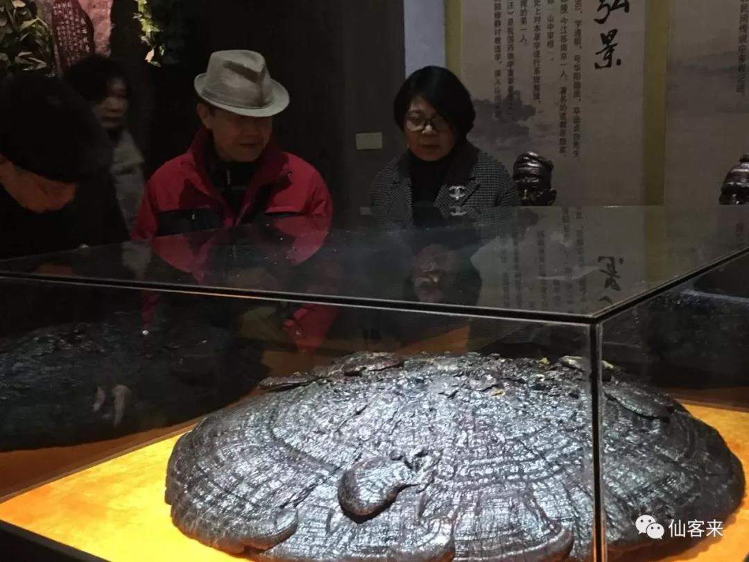 中國靈芝十大品牌|仙客來靈芝|仙客來靈芝破壁孢子粉|仙客來孢子油|仙客來靈芝飲片|仙客來破壁孢子粉|仙客來靈芝中藥飲片|馳名商標|sinishell.cn| 中國靈芝十大品牌|仙客來靈芝|仙客來靈芝破壁孢子粉|仙客來孢子油|仙客來靈芝飲片|仙客來破壁孢子粉|仙客來靈芝中藥飲片|馳名商標|sinishell.cn|