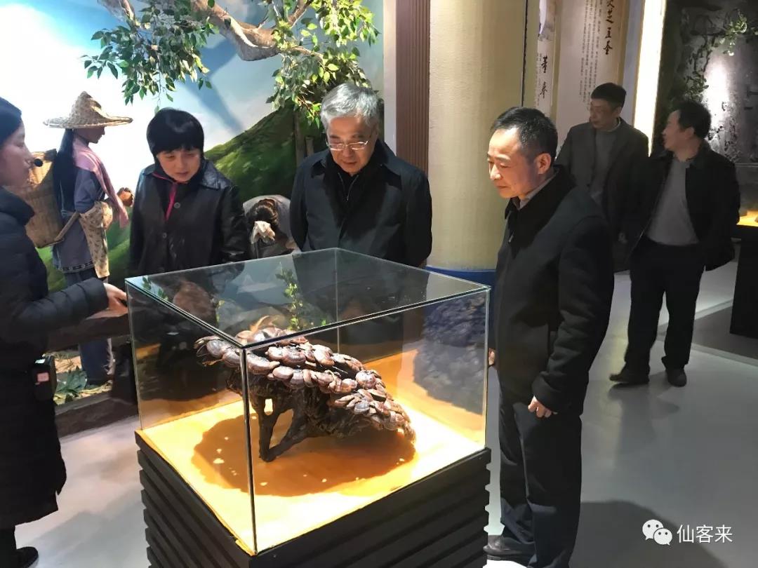 中國靈芝十大品牌|仙客來靈芝|仙客來靈芝破壁孢子粉|仙客來孢子油|仙客來靈芝飲片|仙客來破壁孢子粉|仙客來靈芝中藥飲片|馳名商標|sinishell.cn| 中國靈芝十大品牌|仙客來靈芝|仙客來靈芝破壁孢子粉|仙客來孢子油|仙客來靈芝飲片|仙客來破壁孢子粉|仙客來靈芝中藥飲片|馳名商標|sinishell.cn|