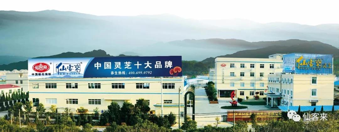 中國靈芝十大品牌|仙客來靈芝|仙客來靈芝破壁孢子粉|仙客來孢子油|仙客來靈芝飲片|仙客來破壁孢子粉|仙客來靈芝中藥飲片|馳名商標|sinishell.cn| 中國靈芝十大品牌|仙客來靈芝|仙客來靈芝破壁孢子粉|仙客來孢子油|仙客來靈芝飲片|仙客來破壁孢子粉|仙客來靈芝中藥飲片|馳名商標|sinishell.cn|