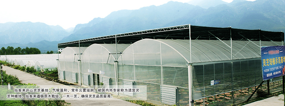 中國靈芝十大品牌|仙客來靈芝|仙客來靈芝破壁孢子粉|仙客來孢子油|仙客來靈芝飲片|仙客來破壁孢子粉|仙客來靈芝中藥飲片|馳名商標(biāo)|sinishell.cn| 中國靈芝十大品牌|仙客來靈芝|仙客來靈芝破壁孢子粉|仙客來孢子油|仙客來靈芝飲片|仙客來破壁孢子粉|仙客來靈芝中藥飲片|馳名商標(biāo)|sinishell.cn|
