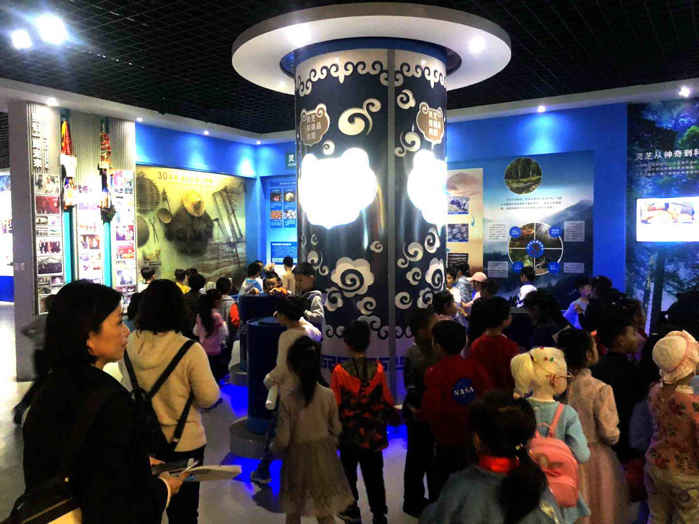 1556516768155551.jpg 杭州亞運(yùn)會(huì)官方靈芝產(chǎn)品供應(yīng)商|杭州亞運(yùn)會(huì)官方供應(yīng)商|中國(guó)靈芝十大品牌|仙客來(lái)靈芝|仙客來(lái)靈芝破壁孢子粉|仙客來(lái)孢子油|仙客來(lái)靈芝飲片|仙客來(lái)破壁孢子粉|靈芝孢子油|孢子粉|靈芝破壁孢子粉|靈芝|中華老字號(hào)
