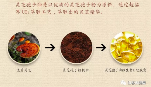 中國靈芝十大品牌|仙客來靈芝|仙客來靈芝破壁孢子粉|仙客來孢子油|仙客來靈芝飲片|仙客來破壁孢子粉|仙客來靈芝中藥飲片|馳名商標|sinishell.cn| 中國靈芝十大品牌|仙客來靈芝|仙客來靈芝破壁孢子粉|仙客來孢子油|仙客來靈芝飲片|仙客來破壁孢子粉|仙客來靈芝中藥飲片|馳名商標|sinishell.cn|