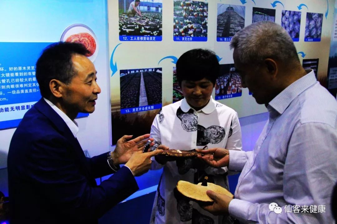 杭州亞運會官方靈芝產(chǎn)品供應商|杭州亞運會官方供應商|中國靈芝十大品牌|仙客來靈芝|仙客來靈芝破壁孢子粉|仙客來孢子油|仙客來靈芝飲片|仙客來破壁孢子粉|靈芝孢子油|孢子粉|靈芝破壁孢子粉|靈芝|中華老字號 杭州亞運會官方靈芝產(chǎn)品供應商|杭州亞運會官方供應商|中國靈芝十大品牌|仙客來靈芝|仙客來靈芝破壁孢子粉|仙客來孢子油|仙客來靈芝飲片|仙客來破壁孢子粉|靈芝孢子油|孢子粉|靈芝破壁孢子粉|靈芝|中華老字號