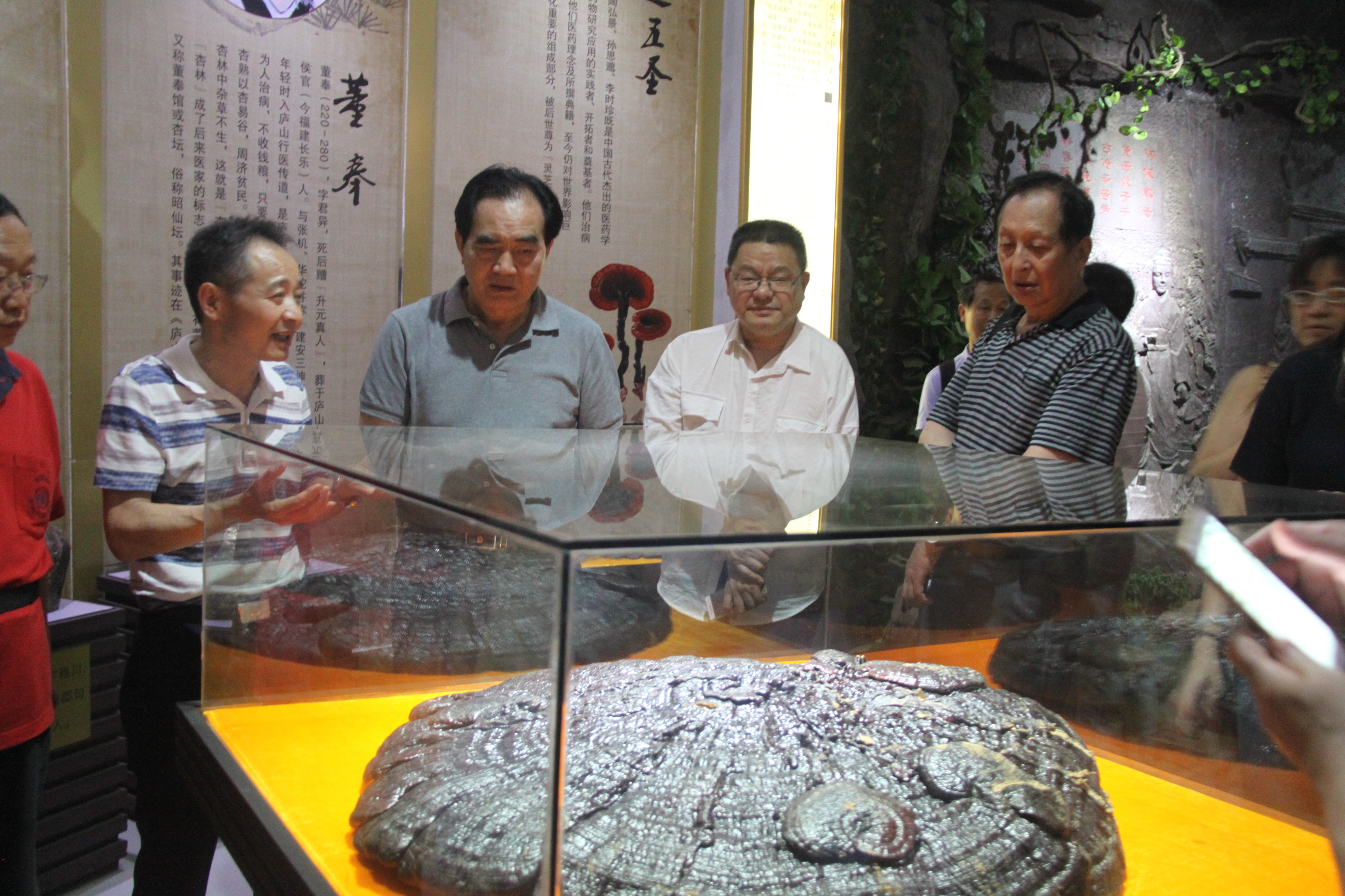 中國(guó)靈芝十大品牌|仙客來(lái)靈芝|仙客來(lái)靈芝破壁孢子粉|仙客來(lái)孢子油|仙客來(lái)靈芝飲片|仙客來(lái)破壁孢子粉|仙客來(lái)靈芝中藥飲片|馳名商標(biāo)|sinishell.cn|