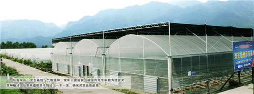 中國(guó)靈芝十大品牌|仙客來(lái)靈芝|仙客來(lái)靈芝破壁孢子粉|仙客來(lái)孢子油|仙客來(lái)靈芝飲片|仙客來(lái)破壁孢子粉|仙客來(lái)靈芝中藥飲片|馳名商標(biāo)|sinishell.cn| 中國(guó)靈芝十大品牌|仙客來(lái)靈芝|仙客來(lái)靈芝破壁孢子粉|仙客來(lái)孢子油|仙客來(lái)靈芝飲片|仙客來(lái)破壁孢子粉|仙客來(lái)靈芝中藥飲片|馳名商標(biāo)|sinishell.cn|