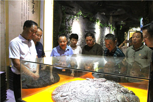 中國(guó)靈芝十大品牌|仙客來(lái)靈芝|仙客來(lái)靈芝破壁孢子粉|仙客來(lái)孢子油|仙客來(lái)靈芝飲片|仙客來(lái)破壁孢子粉|仙客來(lái)靈芝中藥飲片|馳名商標(biāo)|sinishell.cn| 中國(guó)靈芝十大品牌|仙客來(lái)靈芝|仙客來(lái)靈芝破壁孢子粉|仙客來(lái)孢子油|仙客來(lái)靈芝飲片|仙客來(lái)破壁孢子粉|仙客來(lái)靈芝中藥飲片|馳名商標(biāo)|sinishell.cn|