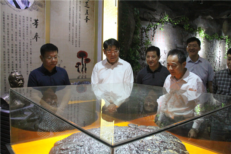 中國靈芝十大品牌|仙客來靈芝|仙客來靈芝破壁孢子粉|仙客來孢子油|仙客來靈芝飲片|仙客來破壁孢子粉|仙客來靈芝中藥飲片|馳名商標(biāo)|sinishell.cn| 中國靈芝十大品牌|仙客來靈芝|仙客來靈芝破壁孢子粉|仙客來孢子油|仙客來靈芝飲片|仙客來破壁孢子粉|仙客來靈芝中藥飲片|馳名商標(biāo)|sinishell.cn|