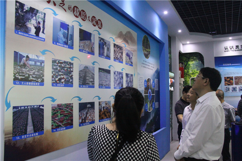 中國靈芝十大品牌|仙客來靈芝|仙客來靈芝破壁孢子粉|仙客來孢子油|仙客來靈芝飲片|仙客來破壁孢子粉|仙客來靈芝中藥飲片|馳名商標(biāo)|sinishell.cn| 中國靈芝十大品牌|仙客來靈芝|仙客來靈芝破壁孢子粉|仙客來孢子油|仙客來靈芝飲片|仙客來破壁孢子粉|仙客來靈芝中藥飲片|馳名商標(biāo)|sinishell.cn|