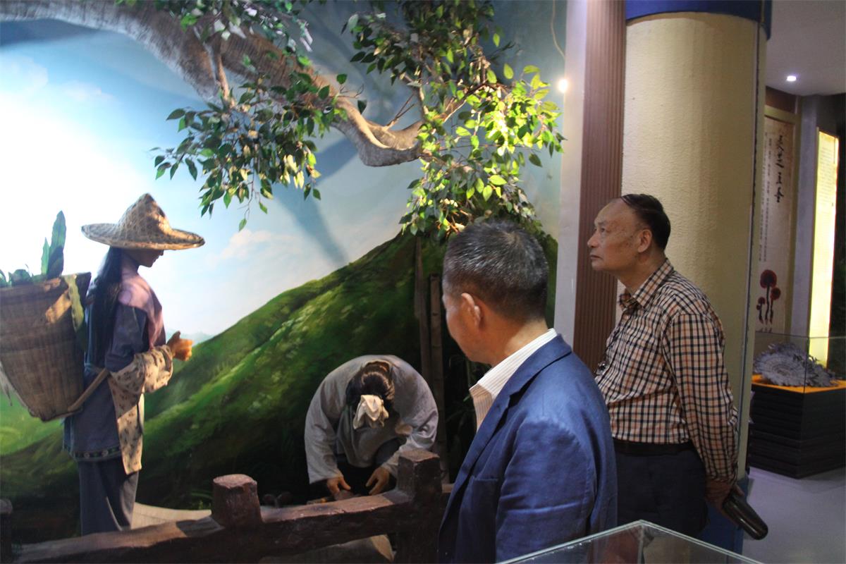 中國靈芝十大品牌|仙客來靈芝|仙客來靈芝破壁孢子粉|仙客來孢子油|仙客來靈芝飲片|仙客來破壁孢子粉|仙客來靈芝中藥飲片|馳名商標|sinishell.cn| 中國靈芝十大品牌|仙客來靈芝|仙客來靈芝破壁孢子粉|仙客來孢子油|仙客來靈芝飲片|仙客來破壁孢子粉|仙客來靈芝中藥飲片|馳名商標|sinishell.cn|