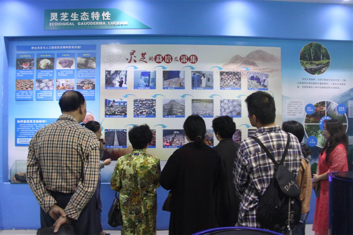 中國靈芝十大品牌|仙客來靈芝|仙客來靈芝破壁孢子粉|仙客來孢子油|仙客來靈芝飲片|仙客來破壁孢子粉|仙客來靈芝中藥飲片|馳名商標|sinishell.cn| 中國靈芝十大品牌|仙客來靈芝|仙客來靈芝破壁孢子粉|仙客來孢子油|仙客來靈芝飲片|仙客來破壁孢子粉|仙客來靈芝中藥飲片|馳名商標|sinishell.cn|