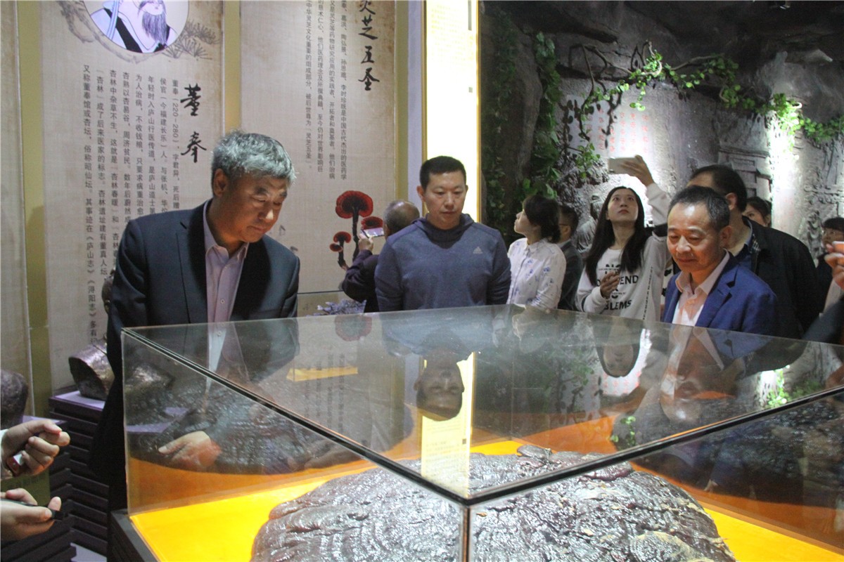 中國靈芝十大品牌|仙客來靈芝|仙客來靈芝破壁孢子粉|仙客來孢子油|仙客來靈芝飲片|仙客來破壁孢子粉|仙客來靈芝中藥飲片|馳名商標(biāo)|sinishell.cn| 中國靈芝十大品牌|仙客來靈芝|仙客來靈芝破壁孢子粉|仙客來孢子油|仙客來靈芝飲片|仙客來破壁孢子粉|仙客來靈芝中藥飲片|馳名商標(biāo)|sinishell.cn|