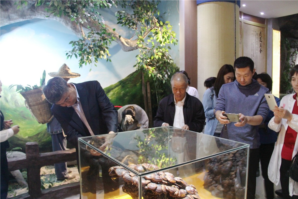 中國靈芝十大品牌|仙客來靈芝|仙客來靈芝破壁孢子粉|仙客來孢子油|仙客來靈芝飲片|仙客來破壁孢子粉|仙客來靈芝中藥飲片|馳名商標(biāo)|sinishell.cn| 中國靈芝十大品牌|仙客來靈芝|仙客來靈芝破壁孢子粉|仙客來孢子油|仙客來靈芝飲片|仙客來破壁孢子粉|仙客來靈芝中藥飲片|馳名商標(biāo)|sinishell.cn|