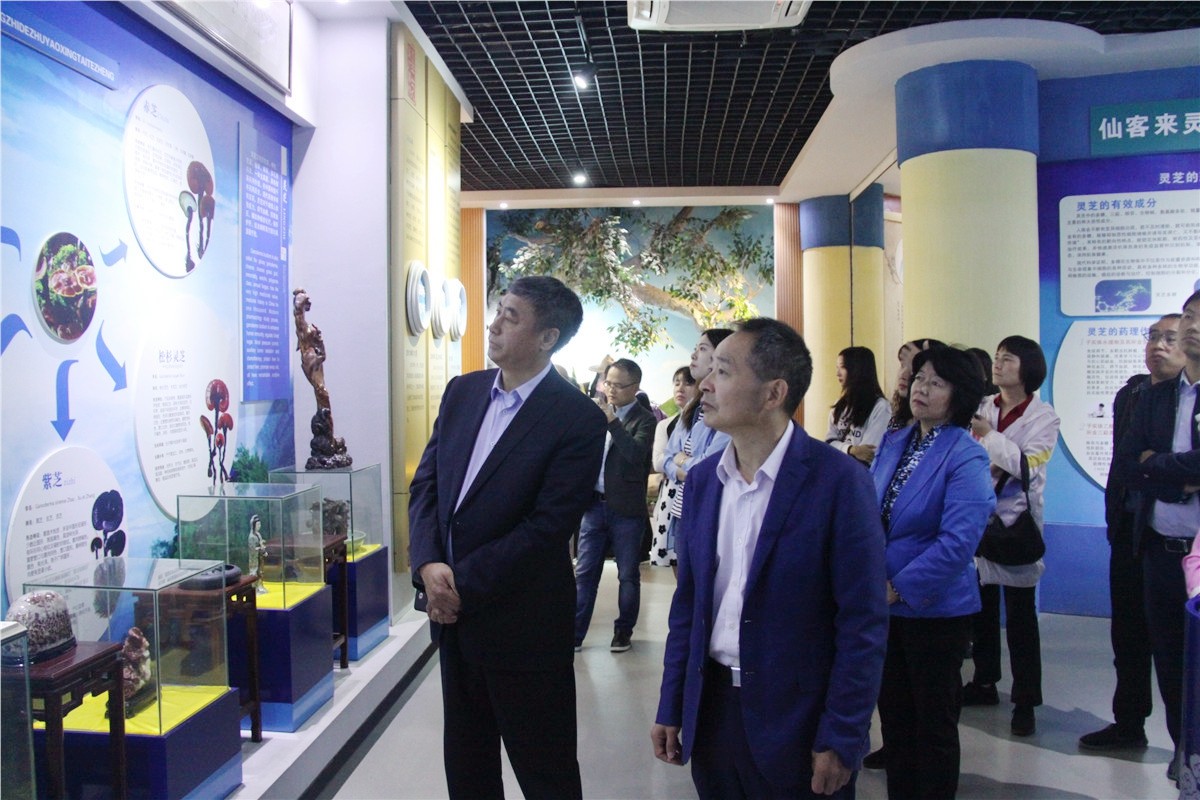 中國靈芝十大品牌|仙客來靈芝|仙客來靈芝破壁孢子粉|仙客來孢子油|仙客來靈芝飲片|仙客來破壁孢子粉|仙客來靈芝中藥飲片|馳名商標(biāo)|sinishell.cn| 中國靈芝十大品牌|仙客來靈芝|仙客來靈芝破壁孢子粉|仙客來孢子油|仙客來靈芝飲片|仙客來破壁孢子粉|仙客來靈芝中藥飲片|馳名商標(biāo)|sinishell.cn|