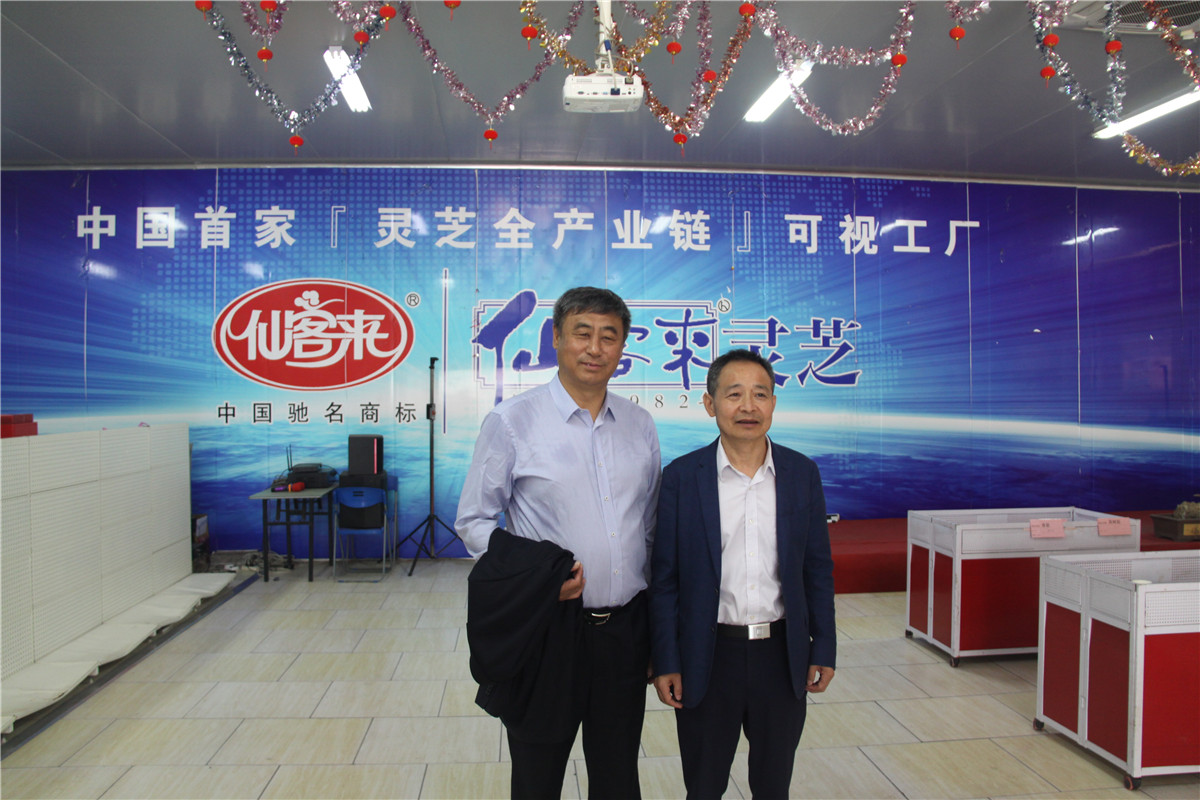 中國靈芝十大品牌|仙客來靈芝|仙客來靈芝破壁孢子粉|仙客來孢子油|仙客來靈芝飲片|仙客來破壁孢子粉|仙客來靈芝中藥飲片|馳名商標(biāo)|sinishell.cn| 中國靈芝十大品牌|仙客來靈芝|仙客來靈芝破壁孢子粉|仙客來孢子油|仙客來靈芝飲片|仙客來破壁孢子粉|仙客來靈芝中藥飲片|馳名商標(biāo)|sinishell.cn|