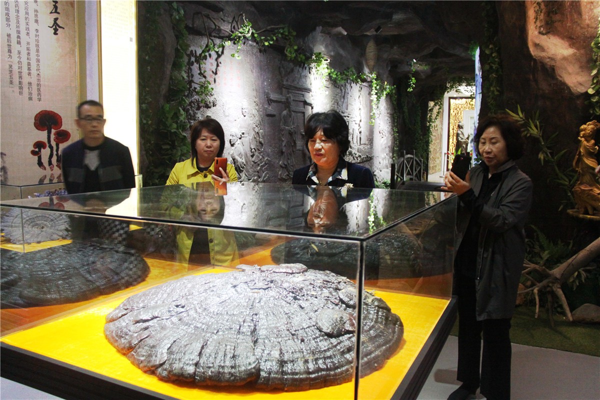 中國靈芝十大品牌|仙客來靈芝|仙客來靈芝破壁孢子粉|仙客來孢子油|仙客來靈芝飲片|仙客來破壁孢子粉|仙客來靈芝中藥飲片|馳名商標(biāo)|sinishell.cn| 中國靈芝十大品牌|仙客來靈芝|仙客來靈芝破壁孢子粉|仙客來孢子油|仙客來靈芝飲片|仙客來破壁孢子粉|仙客來靈芝中藥飲片|馳名商標(biāo)|sinishell.cn|