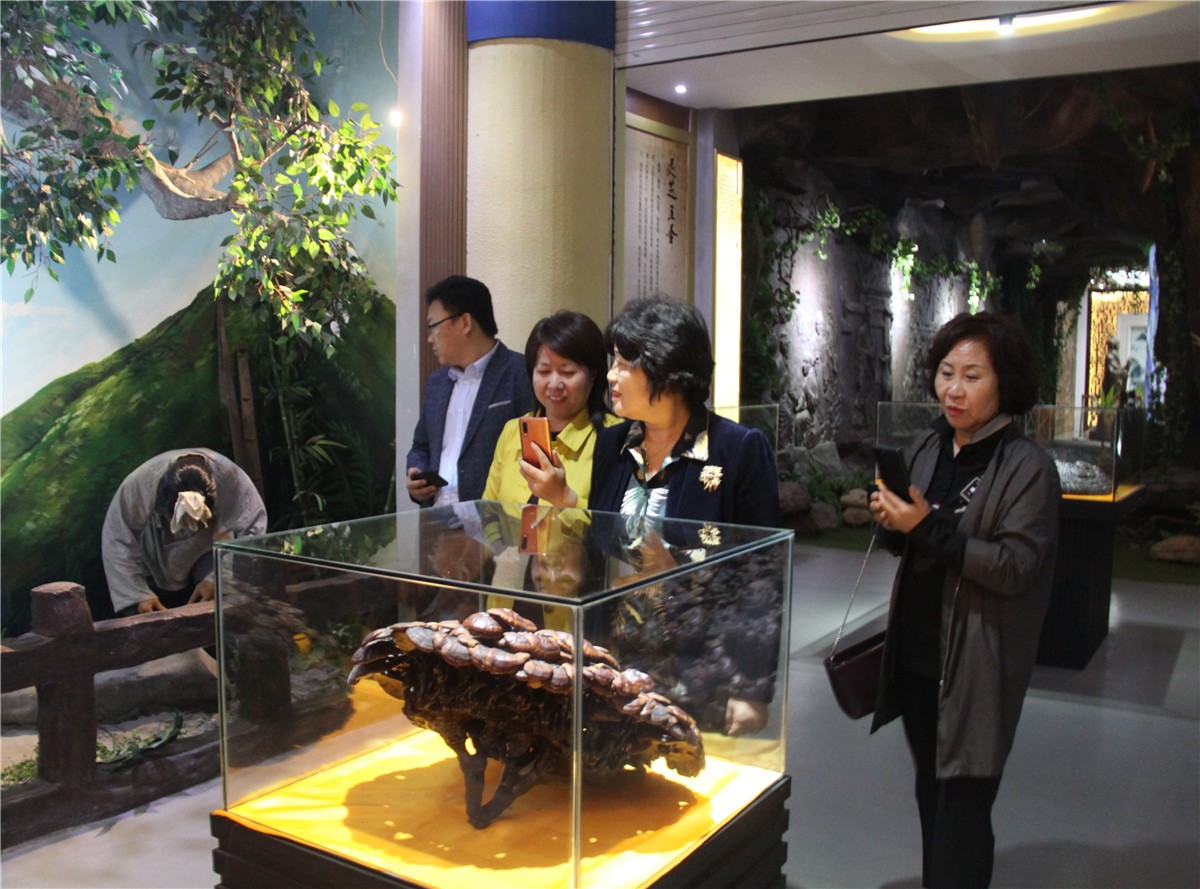 中國靈芝十大品牌|仙客來靈芝|仙客來靈芝破壁孢子粉|仙客來孢子油|仙客來靈芝飲片|仙客來破壁孢子粉|仙客來靈芝中藥飲片|馳名商標(biāo)|sinishell.cn| 中國靈芝十大品牌|仙客來靈芝|仙客來靈芝破壁孢子粉|仙客來孢子油|仙客來靈芝飲片|仙客來破壁孢子粉|仙客來靈芝中藥飲片|馳名商標(biāo)|sinishell.cn|