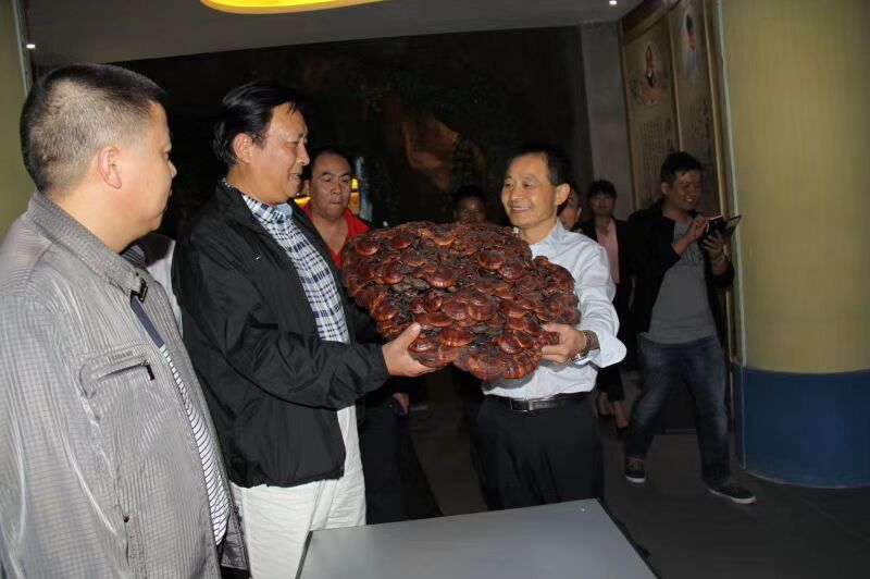 中國靈芝十大品牌|仙客來靈芝|仙客來靈芝破壁孢子粉|仙客來孢子油|仙客來靈芝飲片|仙客來破壁孢子粉|仙客來靈芝中藥飲片|馳名商標|sinishell.cn|