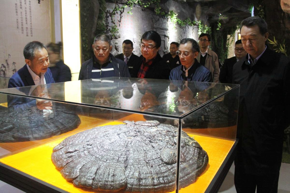 1573451554660597.jpg IMG_0660_副本.jpg