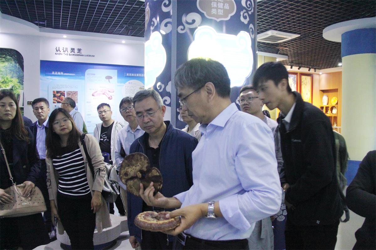 中國(guó)靈芝十大品牌|仙客來(lái)靈芝|仙客來(lái)靈芝破壁孢子粉|仙客來(lái)孢子油|仙客來(lái)靈芝飲片|仙客來(lái)破壁孢子粉|仙客來(lái)靈芝中藥飲片|馳名商標(biāo)|sinishell.cn| 中國(guó)靈芝十大品牌|仙客來(lái)靈芝|仙客來(lái)靈芝破壁孢子粉|仙客來(lái)孢子油|仙客來(lái)靈芝飲片|仙客來(lái)破壁孢子粉|仙客來(lái)靈芝中藥飲片|馳名商標(biāo)|sinishell.cn|