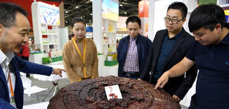 中國(guó)靈芝十大品牌|仙客來(lái)靈芝|仙客來(lái)靈芝破壁孢子粉|仙客來(lái)孢子油|仙客來(lái)靈芝飲片|仙客來(lái)破壁孢子粉|仙客來(lái)靈芝中藥飲片|馳名商標(biāo)|sinishell.cn| 中國(guó)靈芝十大品牌|仙客來(lái)靈芝|仙客來(lái)靈芝破壁孢子粉|仙客來(lái)孢子油|仙客來(lái)靈芝飲片|仙客來(lái)破壁孢子粉|仙客來(lái)靈芝中藥飲片|馳名商標(biāo)|sinishell.cn|