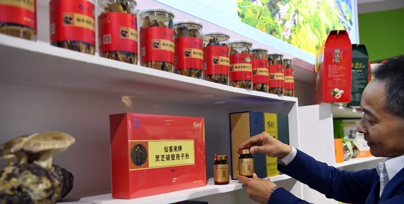 中國(guó)靈芝十大品牌|仙客來(lái)靈芝|仙客來(lái)靈芝破壁孢子粉|仙客來(lái)孢子油|仙客來(lái)靈芝飲片|仙客來(lái)破壁孢子粉|仙客來(lái)靈芝中藥飲片|馳名商標(biāo)|sinishell.cn| 中國(guó)靈芝十大品牌|仙客來(lái)靈芝|仙客來(lái)靈芝破壁孢子粉|仙客來(lái)孢子油|仙客來(lái)靈芝飲片|仙客來(lái)破壁孢子粉|仙客來(lái)靈芝中藥飲片|馳名商標(biāo)|sinishell.cn|