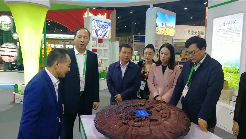 中國(guó)靈芝十大品牌|仙客來(lái)靈芝|仙客來(lái)靈芝破壁孢子粉|仙客來(lái)孢子油|仙客來(lái)靈芝飲片|仙客來(lái)破壁孢子粉|仙客來(lái)靈芝中藥飲片|馳名商標(biāo)|sinishell.cn| 中國(guó)靈芝十大品牌|仙客來(lái)靈芝|仙客來(lái)靈芝破壁孢子粉|仙客來(lái)孢子油|仙客來(lái)靈芝飲片|仙客來(lái)破壁孢子粉|仙客來(lái)靈芝中藥飲片|馳名商標(biāo)|sinishell.cn|