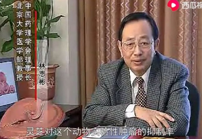 1576663230772890.jpg 302929EC3CD7D9710C2E79576302CF8E_看圖王.jpg