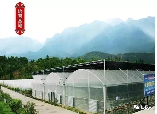 中國靈芝十大品牌|仙客來靈芝|仙客來靈芝破壁孢子粉|仙客來孢子油|仙客來靈芝飲片|仙客來破壁孢子粉|仙客來靈芝中藥飲片|馳名商標(biāo)|sinishell.cn| 中國靈芝十大品牌|仙客來靈芝|仙客來靈芝破壁孢子粉|仙客來孢子油|仙客來靈芝飲片|仙客來破壁孢子粉|仙客來靈芝中藥飲片|馳名商標(biāo)|sinishell.cn|