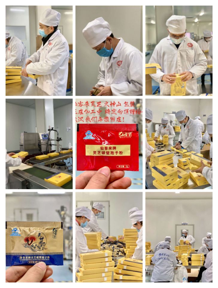 中國靈芝十大品牌|仙客來靈芝|仙客來靈芝破壁孢子粉|仙客來孢子油|仙客來靈芝飲片|仙客來破壁孢子粉|仙客來靈芝中藥飲片|馳名商標|sinishell.cn| 中國靈芝十大品牌|仙客來靈芝|仙客來靈芝破壁孢子粉|仙客來孢子油|仙客來靈芝飲片|仙客來破壁孢子粉|仙客來靈芝中藥飲片|馳名商標|sinishell.cn|