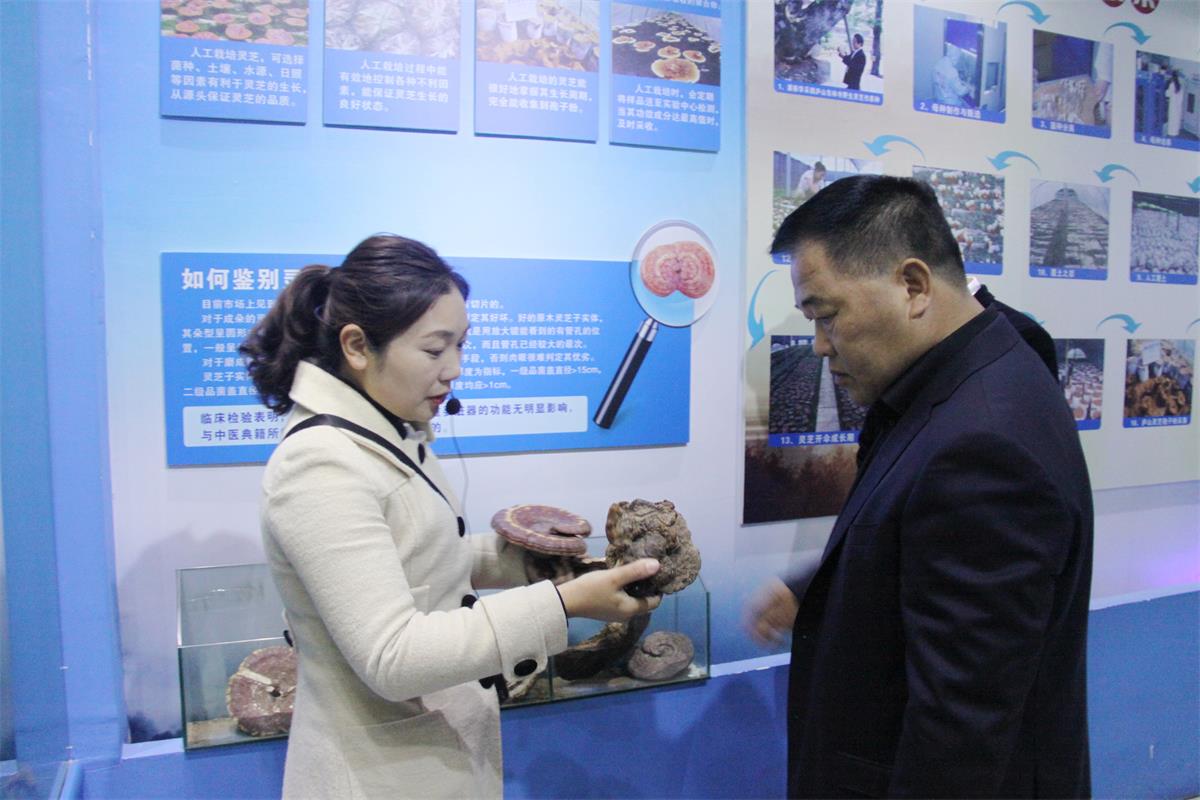 1586329730329557.jpg IMG_4676_副本.jpg