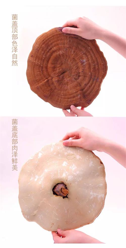 1587783269127176.jpg 85006D5912F08254564947284AC334F2.jpg