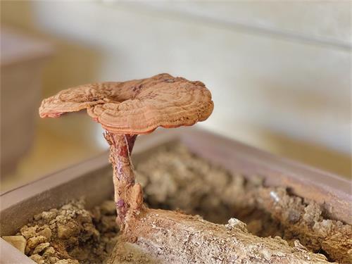 1589159860588913.jpeg IMG_4967.jpeg