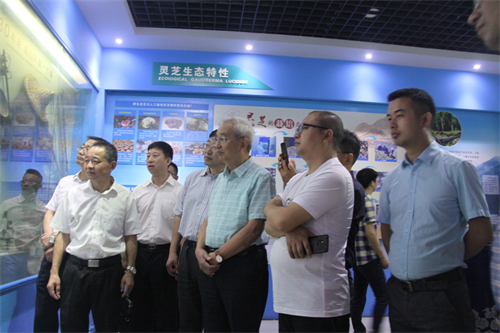 杭州亞運會官方靈芝產(chǎn)品供應(yīng)商|杭州亞運會官方供應(yīng)商|中國靈芝十大品牌|仙客來靈芝|仙客來靈芝破壁孢子粉|仙客來孢子油|仙客來靈芝飲片|仙客來破壁孢子粉|靈芝孢子油|孢子粉|靈芝破壁孢子粉|靈芝|中華老字號 杭州亞運會官方靈芝產(chǎn)品供應(yīng)商|杭州亞運會官方供應(yīng)商|中國靈芝十大品牌|仙客來靈芝|仙客來靈芝破壁孢子粉|仙客來孢子油|仙客來靈芝飲片|仙客來破壁孢子粉|靈芝孢子油|孢子粉|靈芝破壁孢子粉|靈芝|中華老字號