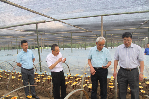 杭州亞運會官方靈芝產(chǎn)品供應(yīng)商|杭州亞運會官方供應(yīng)商|中國靈芝十大品牌|仙客來靈芝|仙客來靈芝破壁孢子粉|仙客來孢子油|仙客來靈芝飲片|仙客來破壁孢子粉|靈芝孢子油|孢子粉|靈芝破壁孢子粉|靈芝|中華老字號 杭州亞運會官方靈芝產(chǎn)品供應(yīng)商|杭州亞運會官方供應(yīng)商|中國靈芝十大品牌|仙客來靈芝|仙客來靈芝破壁孢子粉|仙客來孢子油|仙客來靈芝飲片|仙客來破壁孢子粉|靈芝孢子油|孢子粉|靈芝破壁孢子粉|靈芝|中華老字號