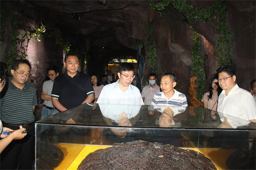 1592039257712284.png 圖片2.png