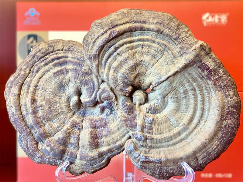 1595409935675851.jpeg IMG_3538.jpeg