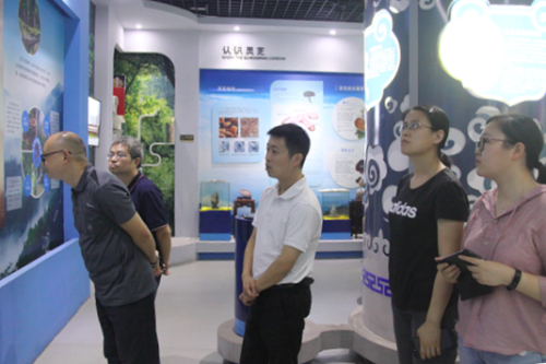 1597195574735417.png image_副本.png