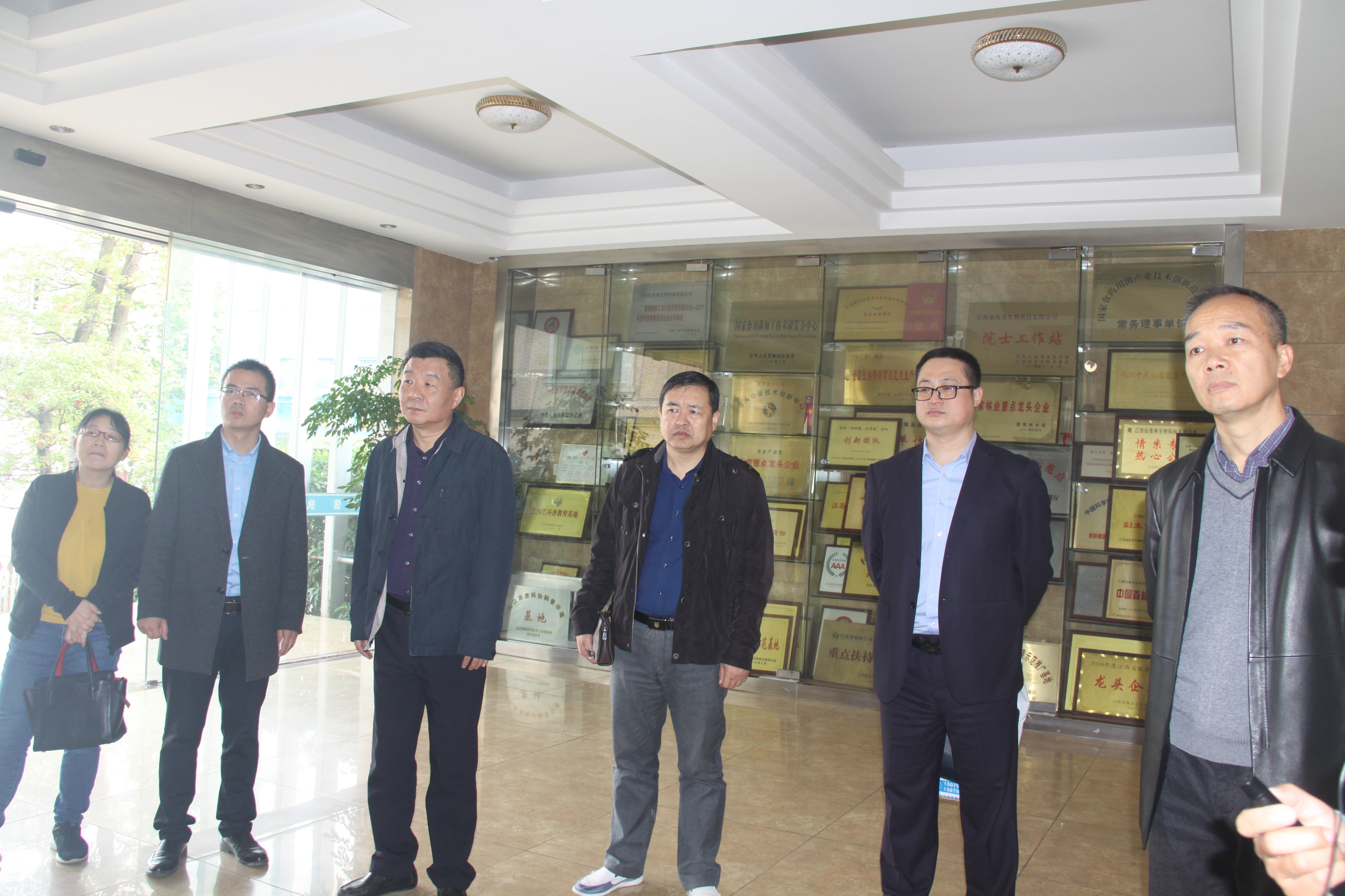 杭州亞運(yùn)會官方靈芝產(chǎn)品供應(yīng)商|杭州亞運(yùn)會官方供應(yīng)商|中國靈芝十大品牌|仙客來靈芝|仙客來靈芝破壁孢子粉|仙客來孢子油|仙客來靈芝飲片|仙客來破壁孢子粉|靈芝孢子油|孢子粉|靈芝破壁孢子粉|靈芝|中華老字號